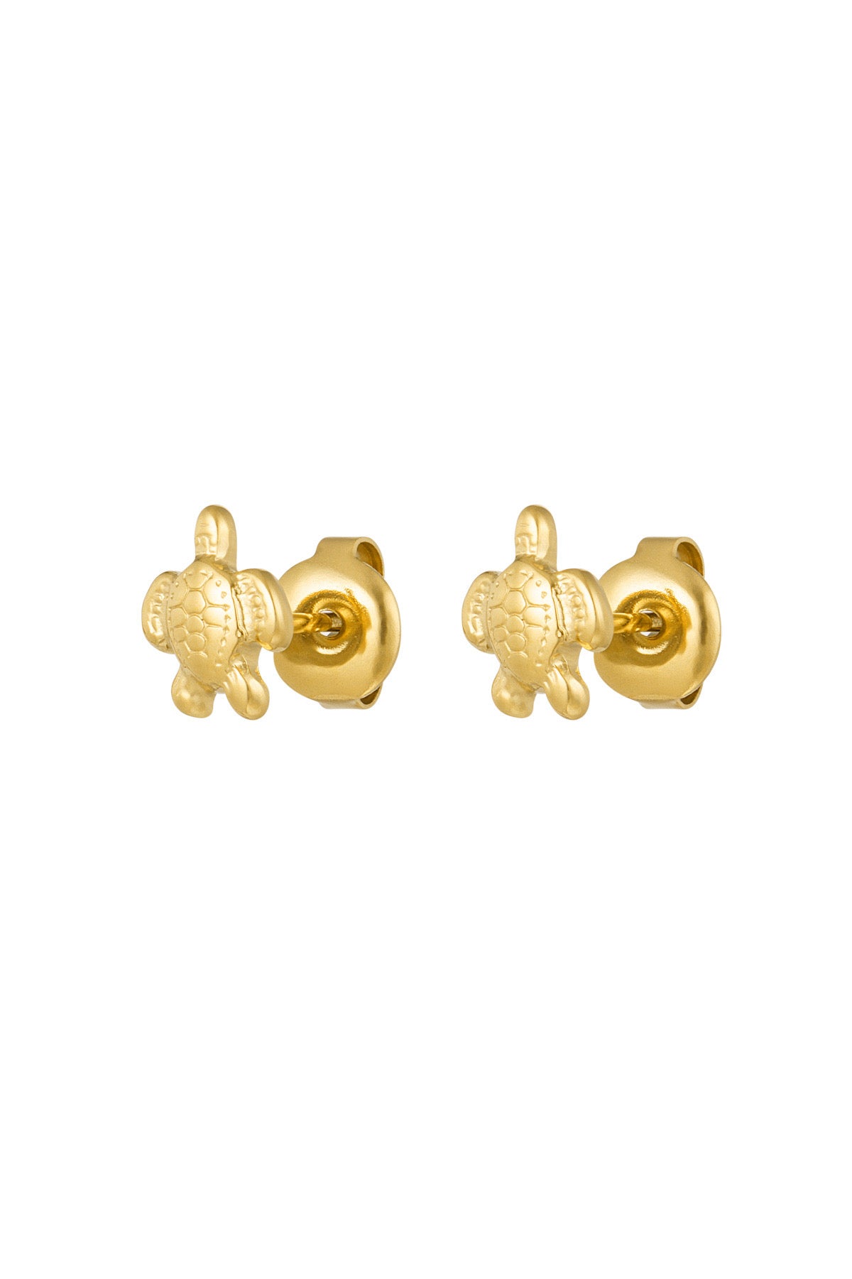 Pendientes tortuga