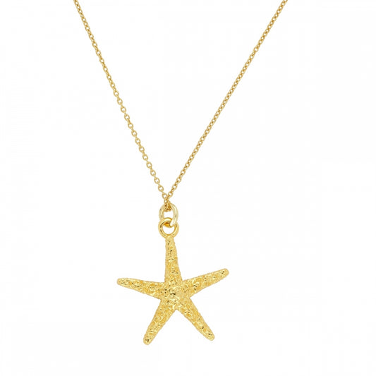 Collar Estrella de Mar